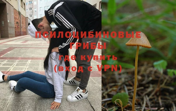 гидропоника Абдулино